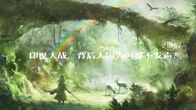 印巴大战，背后大国为何都不发声？