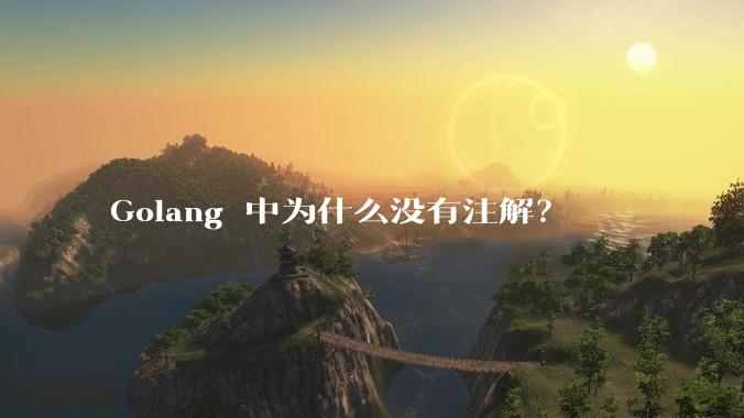 Golang 中为什么没有注解？