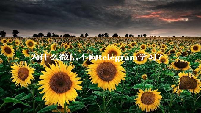 为什么微信不向telegram学习？