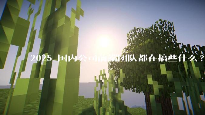 2025 国内公司前端团队都在搞些什么?