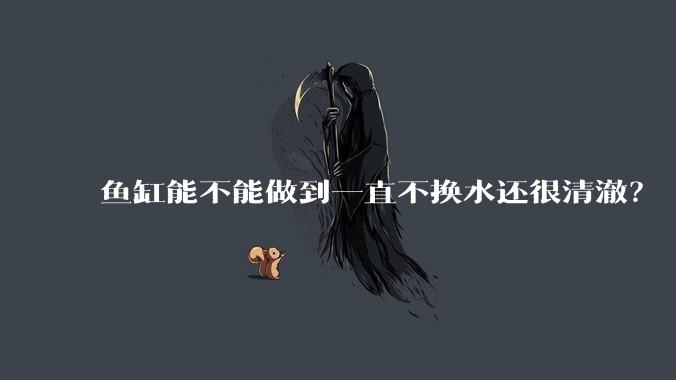 鱼缸能不能做到一直不换水还很清澈？