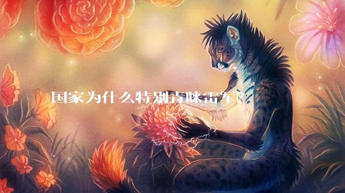 国家为什么特别青睐雷军？