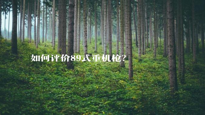 如何评价89式重机枪？