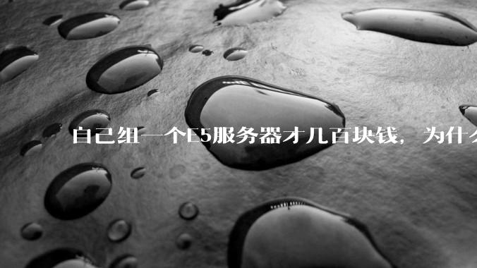 自己组一个E5服务器才几百块钱，为什么去阿里云租这么贵?