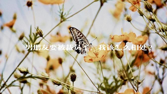 男朋友要被裁员了，我该怎么相处?