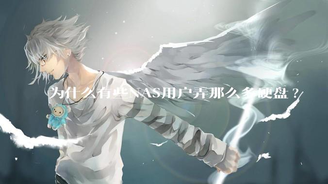为什么有些NAS用户弄那么多硬盘?