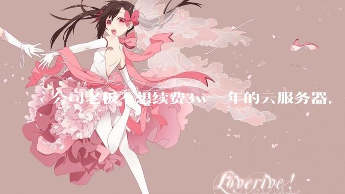 公司老板不想续费3w一年的云服务器，合理吗？